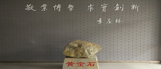 bbgames官方平台登入